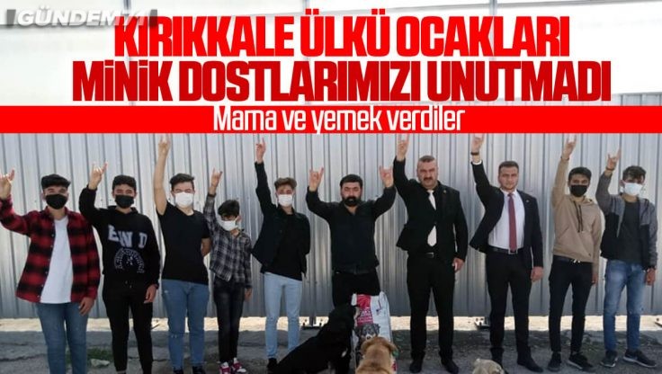 Kırıkkale Ülkü Ocakları, Minik Dostlarımızı Unutmadı