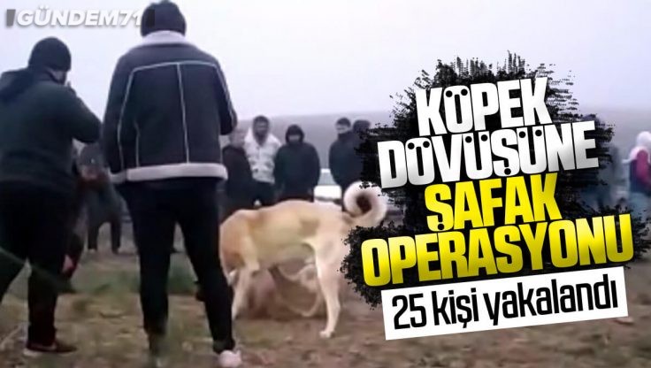 Kırıkkale’de Köpek Dövüşü Operasyonu;  25 Kişi Yakalandı