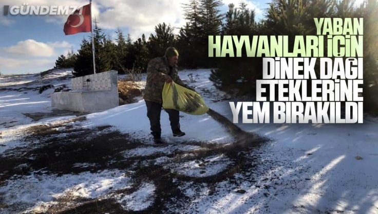 Kırıkkale’de Yaban Hayvanları İçin Yemleme Çalışması Yapıldı