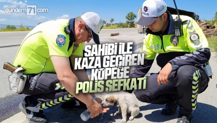 Kırıkkale’de Trafik Kazası; Sahibi İle Birlikte Kaza Geçiren Yavru Köpeğe Polis Şefkati