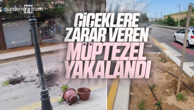 Kırıkkale’de Çiçeklere Zarar Veren Müptezel Yakalandı