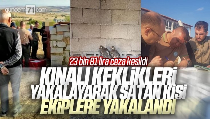 Kırıkkale’de Bırakılan Kınalı Keklikleri Yakaladığı ve Sattığı Tespit Edilen Kişiye Cezası Kesildi