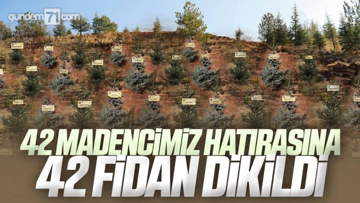 Bartın’daki Maden Faciasında Hayatını Kaybeden 42 İşçi Hatırasına Kırıkkale’de 42 Fidan Dikildi