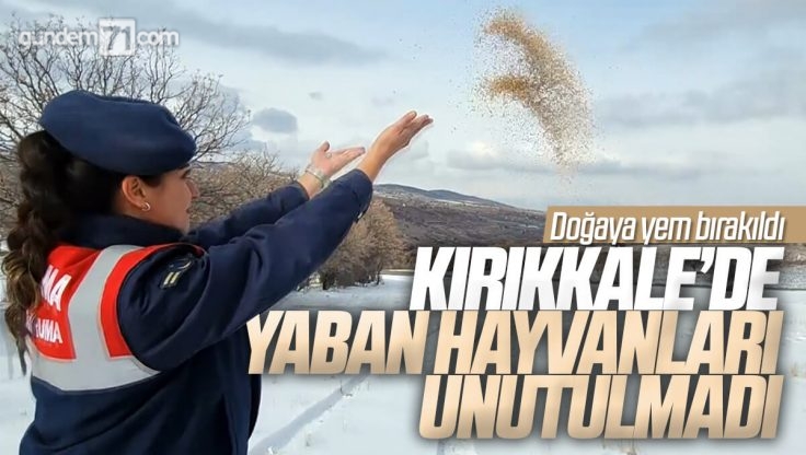 Kırıkkale’de Yaban Hayvanları İçin Doğaya Yem Bırakıldı