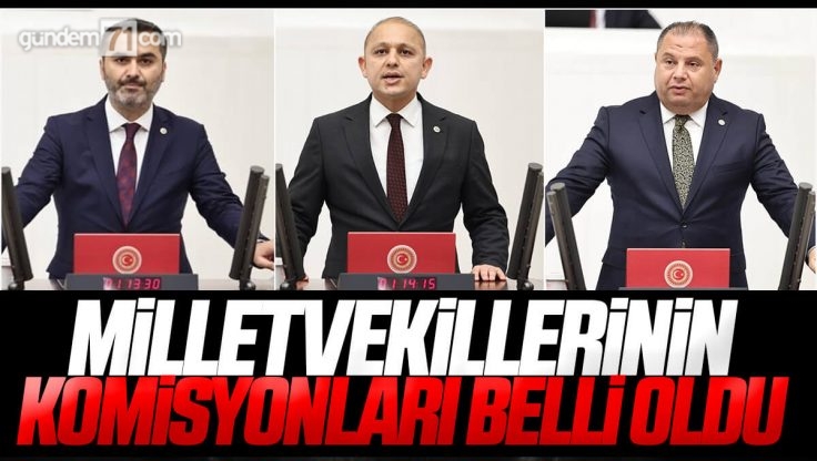 Kırıkkale Milletvekillerinin TBMM’de Komisyonları Belli Oldu