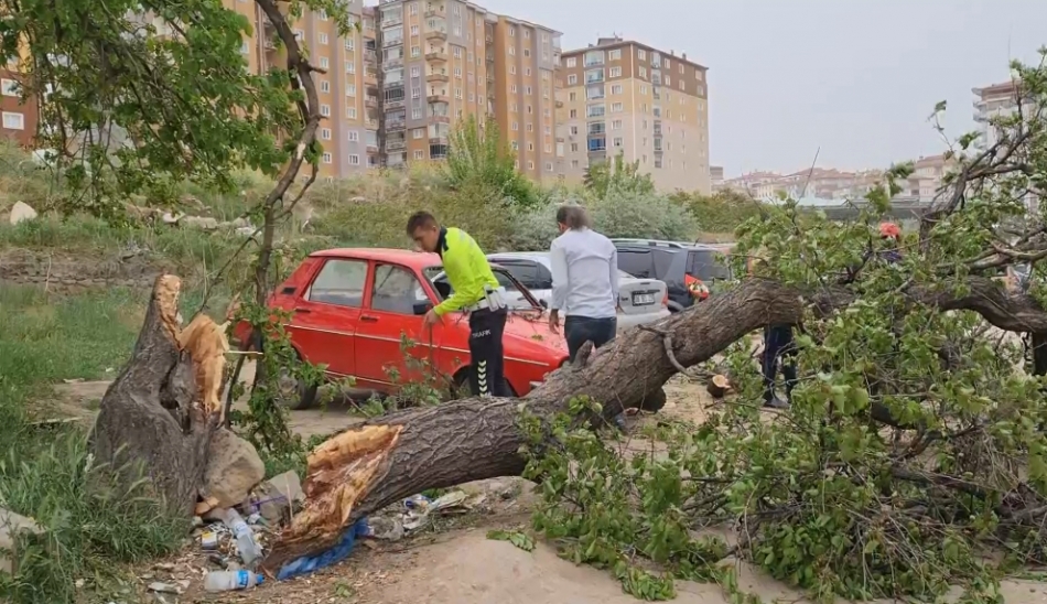 1713608731_z1 Kırıkkale'de Fırtına Etkili Oldu, Ağacı Gövdesinden Kırdı