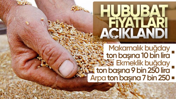 Toprak Mahsulleri Ofisi 2024 Hububat Alım Fiyatları Açıklandı