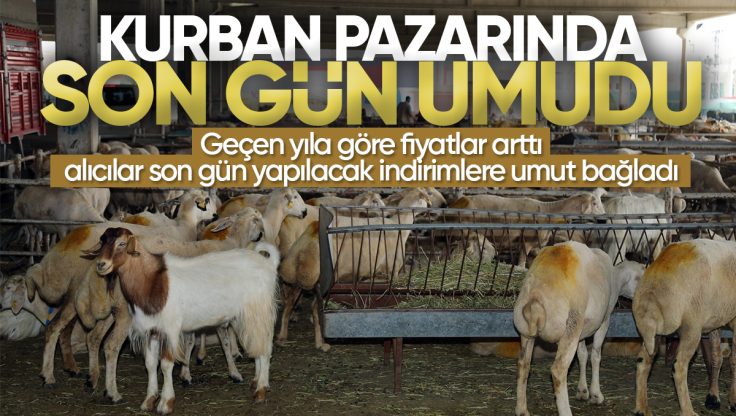 Kırıkkale’de Kurban Pazarında Son Gün Umudu