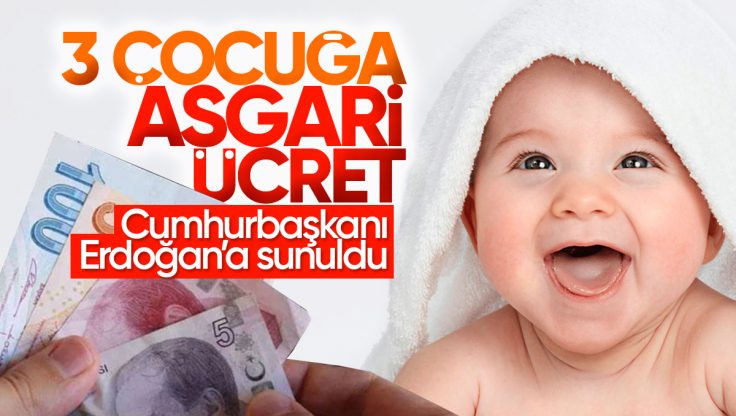 Hükümet doğum oranını artırmak için harekete geçti; 3 çocuğa asgari ücret kadar destek