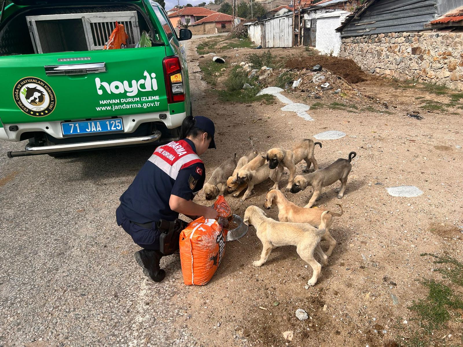 WhatsApp-Image-2024-10-04-at-17.21.26 Kırıkkale'de Jandarma'dan Dünya Hayvanları Koruma Günü'nde Öğrencilere Hayvan Sevgisi Aşılandı