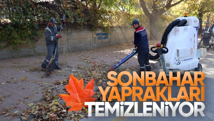 Kırıkkale’de Sonbahar Yaprakları Temizleniyor