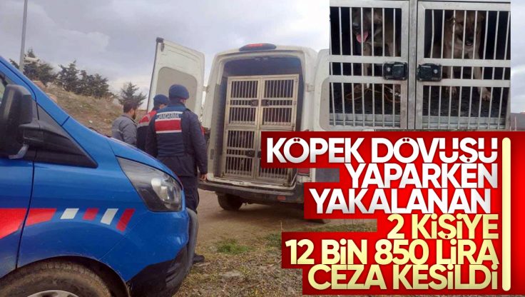 Kırıkkale’de Köpek Dövüşü Yaparken Yakalanan 2 Kişiye 12 Bin 850 TL Ceza Kesildi