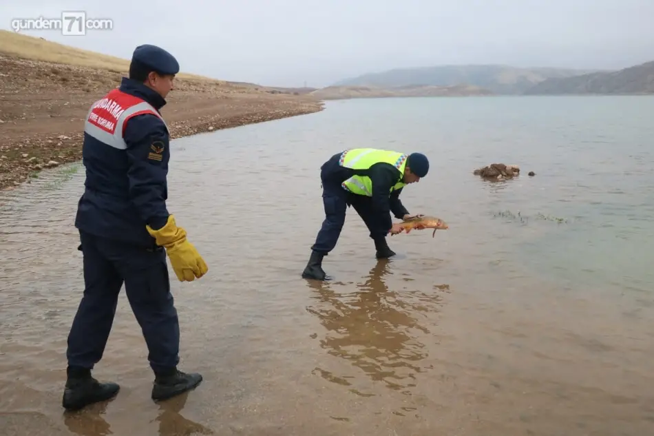kirikkale-kacak-balik-agi-yakalandi-03 Kırıkkale'de Jandarma Ekipleri 400 Metre Kaçak Balık Ağı Yakalandı; Ağa Takılan Balıklar Suya Bırakıldı