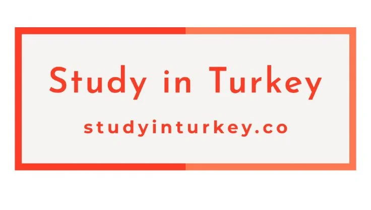 Why Now Is the Best Time to Study in Turkey