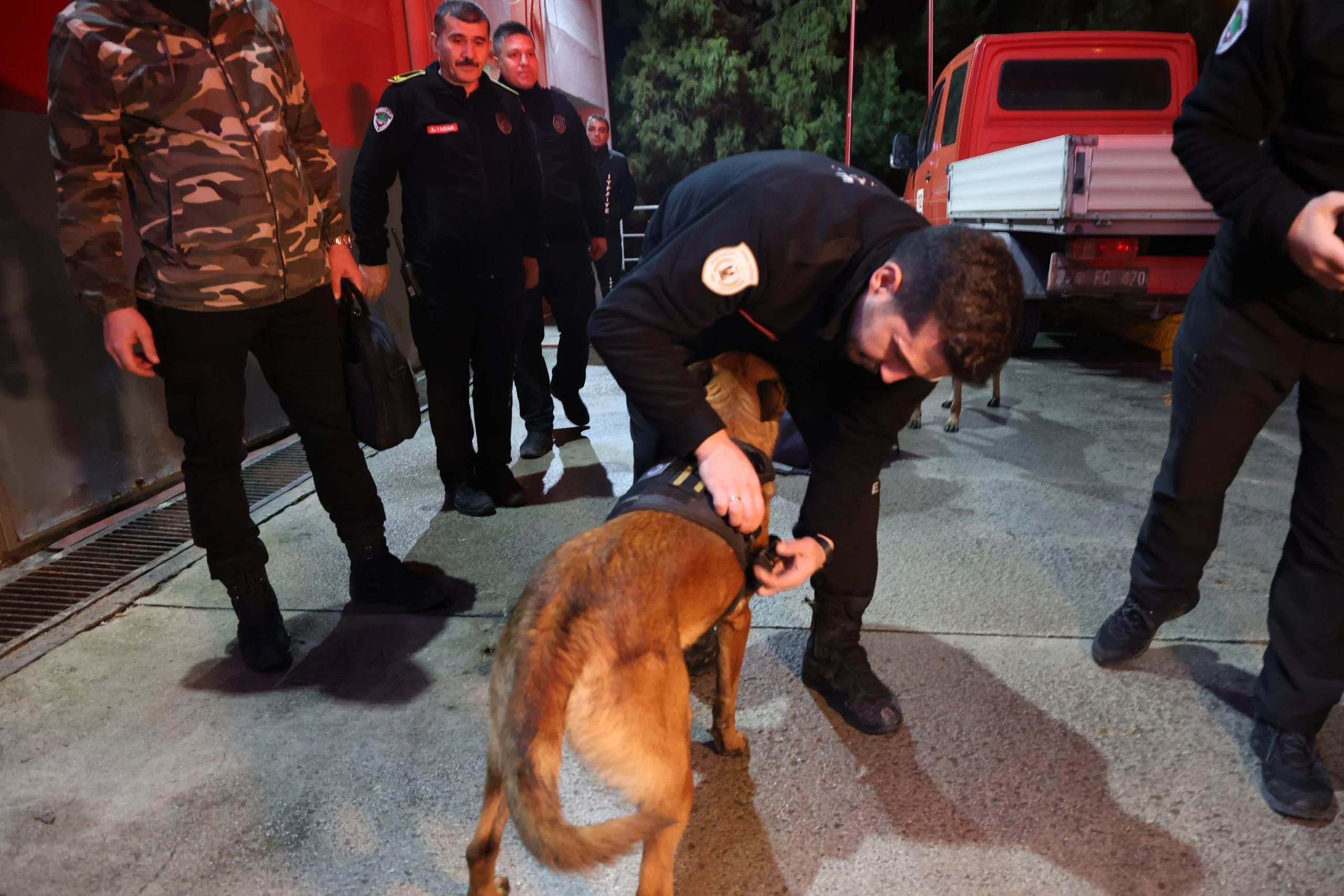 WhatsApp-Image-2025-01-24-at-23.15.42-1-scaled Kırıkkale'den Konya'da Çöken Bina İçin Destek: Arama Kurtarma Köpekleri Hera ve İglo Yönlendirildi