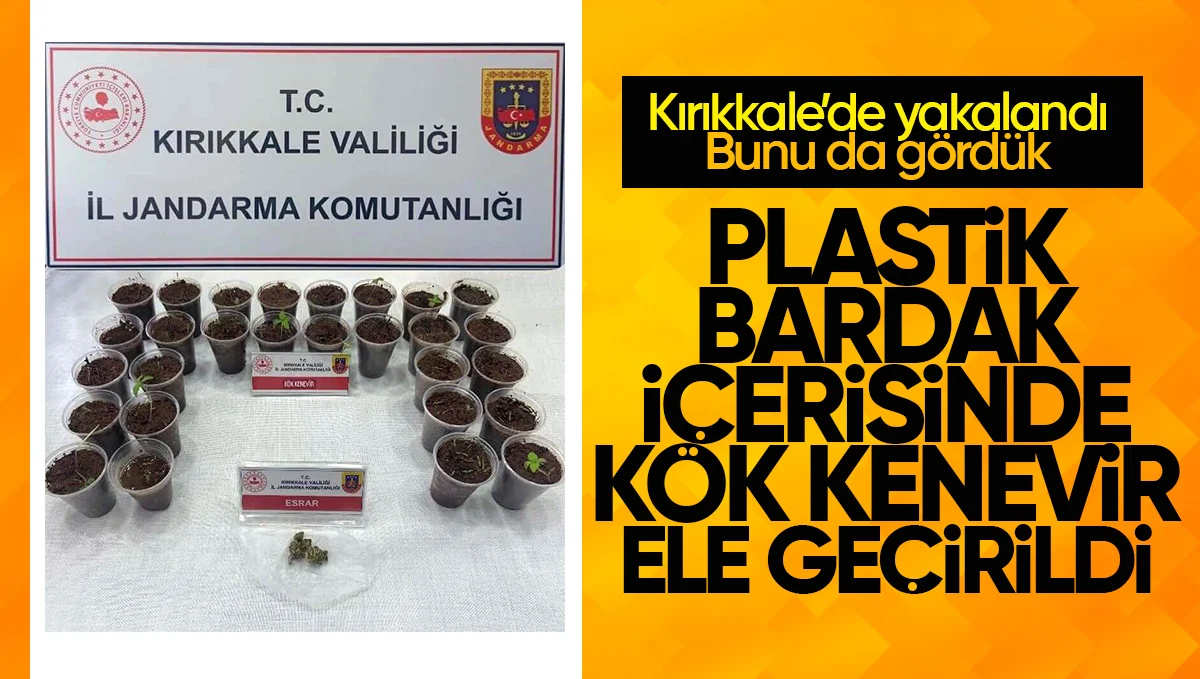 kirikkale uyusturucu kenevir ele gecirildi